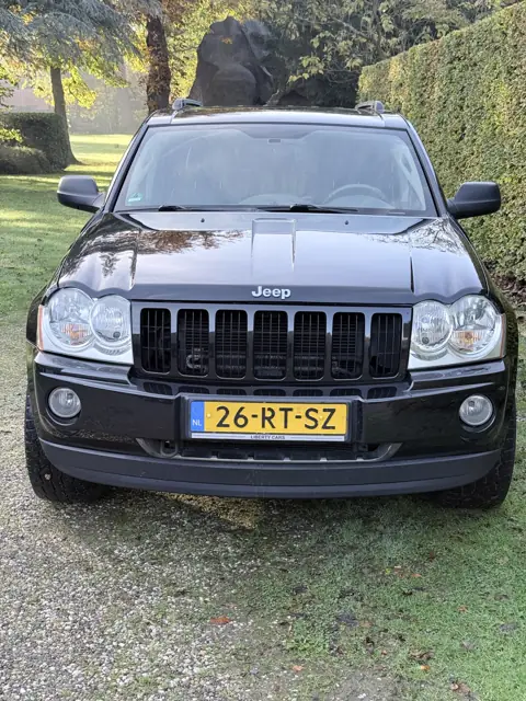 Grille en koplampen